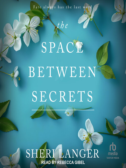 Title details for The Space Between Secrets by Sheri Langer - Available